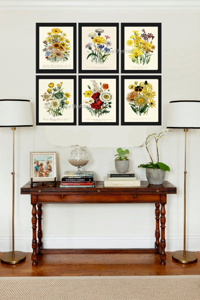 Wildflowers Botanical Wall Art Set of 6 Prints Beautiful Yellow Daisy Red Poppies Cornflower Bachelor's Button Home Room Decor to Frame LEB