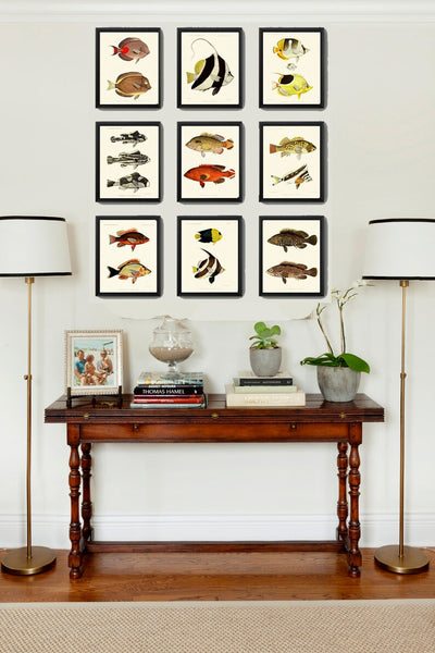 Tropical Fish Wall Art Set of 9 Prints Beautiful Antique Vintage Colorful Red Black and White Stripe Ocean Marine Home Decor to Frame FGH
