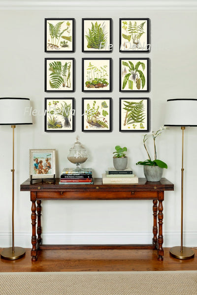 Fern Prints Wall Art Set of 9 Beautiful Botanical Antique Vintage Green Ferns Decoration Wall Hanging Gallery Home Room Decor to Frame LIN