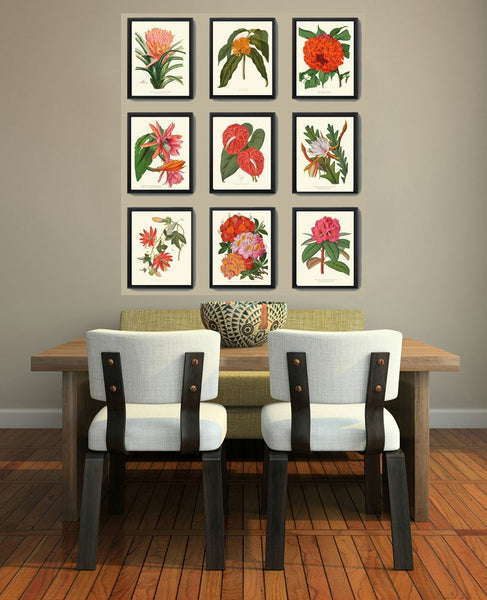 Colorful Tropical Flower Home Decor Botanical Prints Wall Art Set of 9 Beautiful Southern Garden Plants Gallery Azalea Cactus to Frame PAXT