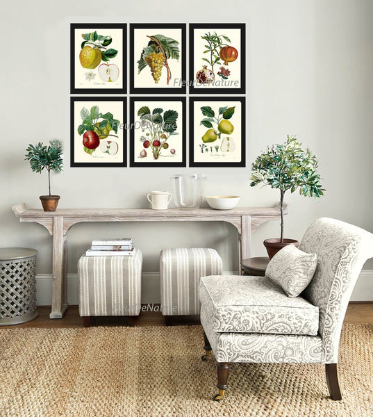 Fruit Prints Wall Art Set of 6 Beautiful Botanical Vintage Apple Grapes Pomegranate Strawberry Pear Kitchen Dining Room Decor to Frame POIT
