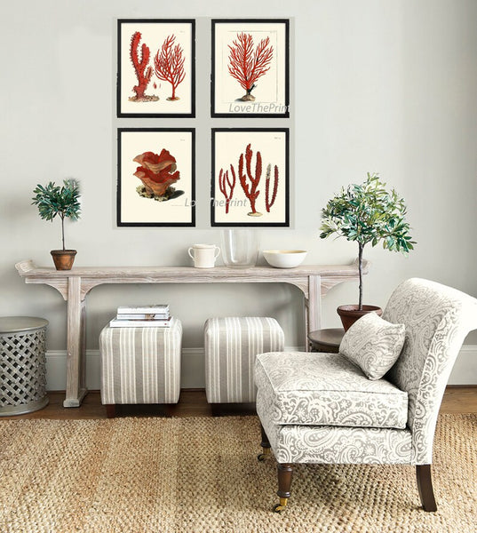 Red Coral Prints Wall Art Set of 4 Beautiful Antique Vintage Sea Ocean Beach Tropical Bathroom Bedroom Chart House Home Decor to Frame ELLIS