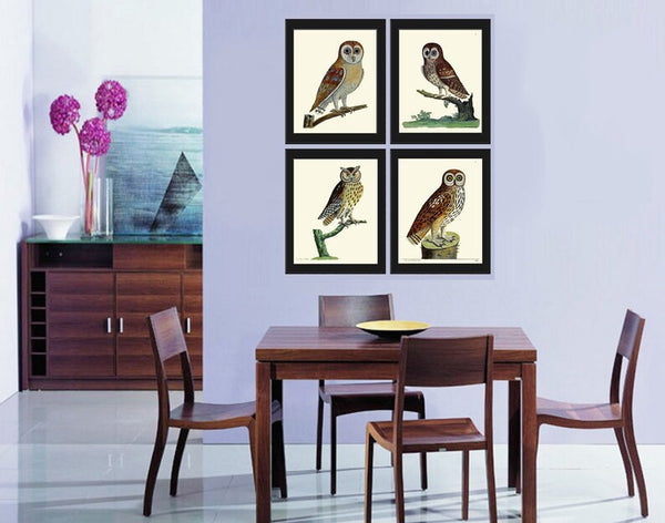 Vintage Owl Bird Wall Art Prints Set of 4 Beautiful Antique Farm Country Cabin Countryside Farmhouse Forest Owl Home Decor to Frame ELE