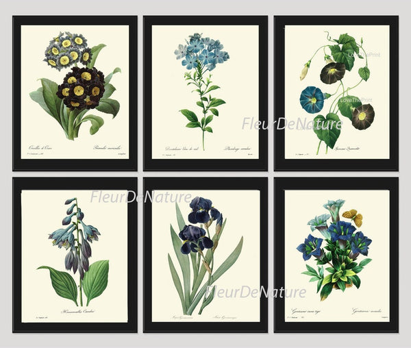 Blue Flowers Botanical Wall Art Set of 6 Prints Beautiful Vintage Antique Spring Summer Garden Plants Collection Home Decor to Frame REDT