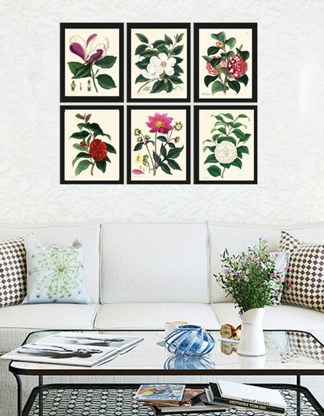 Botanical Wall Art Set of 6 Prints Beautiful White Pink Red Magnolia Camellia Dahlia Green Spring Garden Home Room Decor to Frame HA