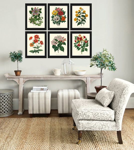 Botanical Prints Wall Art Set of 6 Beautiful Vintage Antique Passion Flower Rhododendron Dahlia Japonica Trumpet Home Decor to Frame WITT