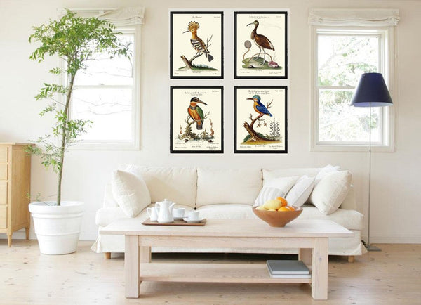 Vintage Birds Wall Art Prints Set of 4 Beautiful Bird Illustration Blue Green Brown Beige White Ivory Background Home Decor to Frame MCT