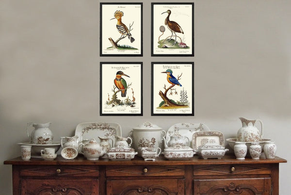 Vintage Birds Wall Art Prints Set of 4 Beautiful Bird Illustration Blue Green Brown Beige White Ivory Background Home Decor to Frame MCT