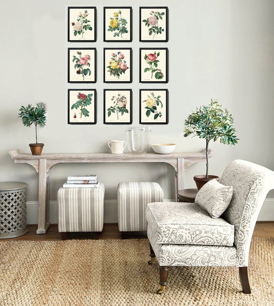 French Roses Prints Botanical Vintage Antique Wall Art Set of 9 Beautiful White Pink Yellow Flowers Floral Home Room Decor to Frame REDT