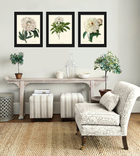 White Peony Botanical Prints Wall Art Set of 3 Beautiful Antique Vintage Garden Plants Dining Living Room Bedroom Home Decor to Frame REDT