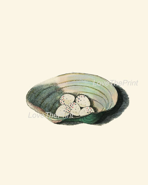Vintage Bird Nest Eggs Wall Art Print Set of 6 Beautiful Antique Vintage Illustration Picture Farmhouse Cottage Home Decor to Frame BJB