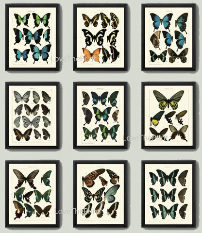 Vintage Butterfly Chart Wall Art Set of 9 Prints Beautiful Antique Book Plate Illustration Watercolor Garden Home Room Decor to Frame ASDG