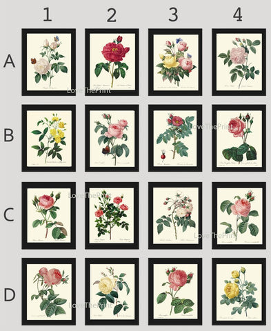 Antique Roses Prints Botanical Wall Art Set of 16 Beautiful Vintage Floral Interior Design Designer Large Gallery Home Decor to Frame RE