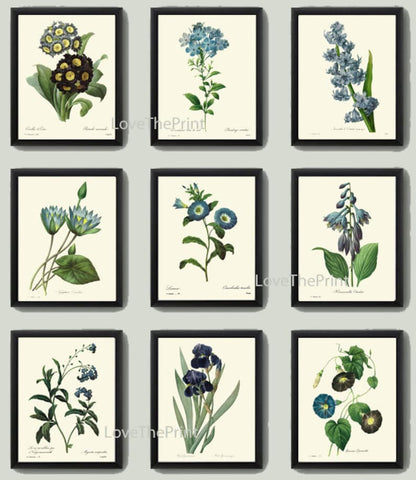 Blue Flowers Botanical Wall Art Set of 9 Prints Beautiful Vintage Antique Bedroom Dining Room Hallway Fireplace Home Decor to Frame REDT