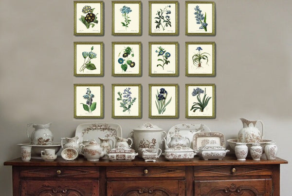 Blue Flowers Botanical Prints Wall Art Set of 12 Beautiful Antique Vintage Large Floral Collection Interior Design Home Decor to Frame REDT