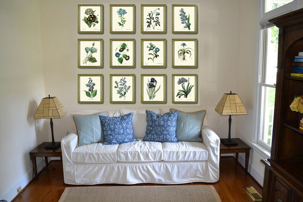 Blue Flowers Botanical Prints Wall Art Set of 12 Beautiful Antique Vintage Large Floral Collection Interior Design Home Decor to Frame REDT