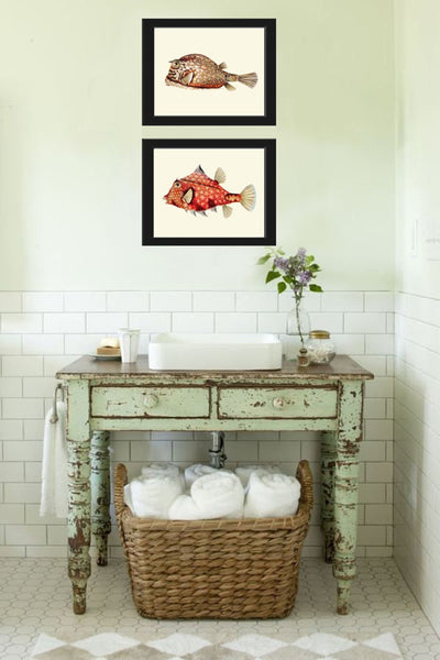 Tropical Fish Prints Wall Art Set of 2 Beautiful Antique Vintage Puffer Box Fish Sea Ocean Beach House Nature Home Room Decor to Frame FH