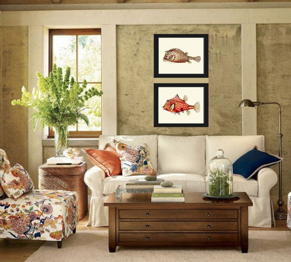 Tropical Fish Prints Wall Art Set of 2 Beautiful Antique Vintage Puffer Box Fish Sea Ocean Beach House Nature Home Room Decor to Frame FH