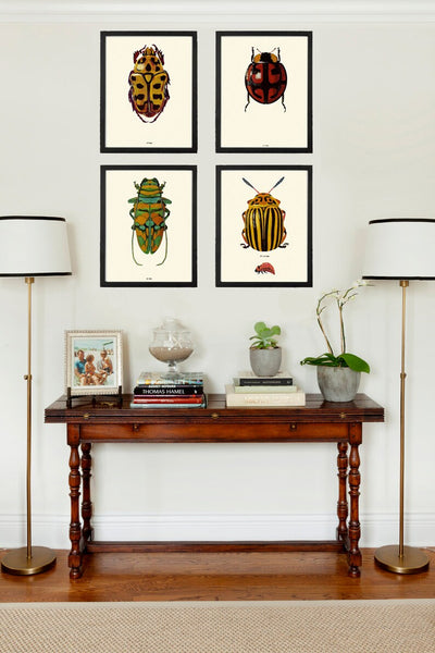 Vintage Beetle Wall Art Set of 4 Prints Beautiful Antique Beetles Ladybug Outdoor Nature Bugs Insect Home Room Decor Decoration to Frame BBB