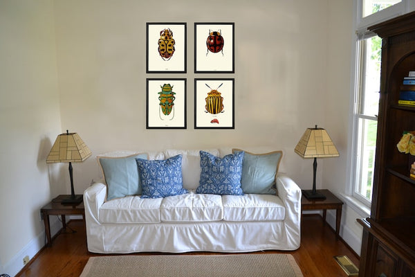 Vintage Beetle Wall Art Set of 4 Prints Beautiful Antique Beetles Ladybug Outdoor Nature Bugs Insect Home Room Decor Decoration to Frame BBB