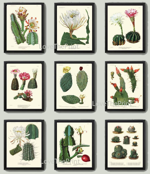 Cactus Botanical Wall Art Set of 9 Prints Beautiful Pink White Blooming Cactuses Tropical Exotic Garden Plants Home Decor to Frame CACT