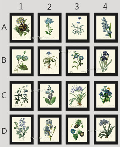 Blue Flowers Botanical Wall Art Set of 16 Prints Beautiful Antique Vintage Large Gallery Interior Design Designer Home Decor to Frame RE