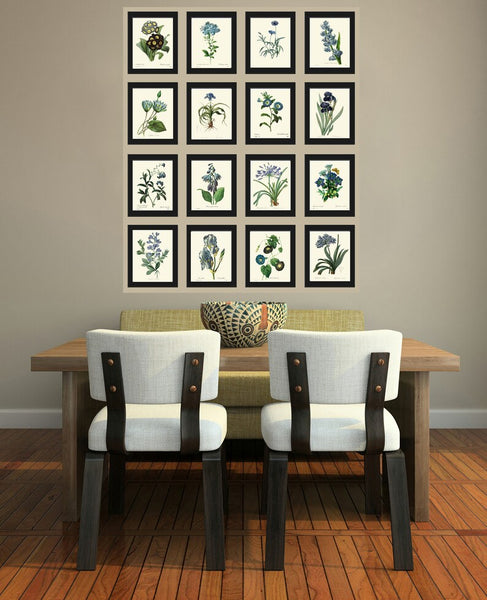 Blue Flowers Botanical Wall Art Set of 16 Prints Beautiful Antique Vintage Large Gallery Interior Design Designer Home Decor to Frame RE