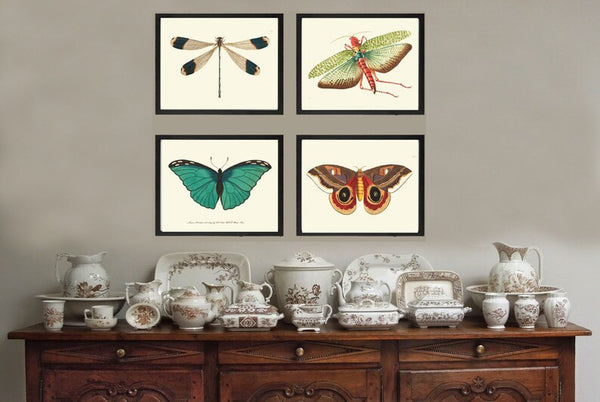 Butterfly Dragonfly Wall Art Set of 4 Prints Beautiful Antique Aqua Orange Colorful Locust Garden Home Room Decor Decoration to Frame BNOD