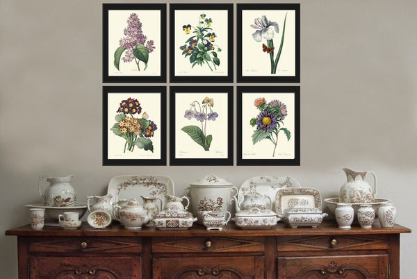 Purple Violet Lilac Iris Pansy Gloxinia Flowers Botanical Wall Art Set of 6 Prints Beautiful Vintage Spring Garden Home Decor to Frame REDT