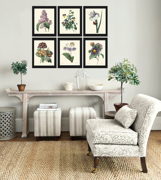 Purple Violet Lilac Iris Pansy Gloxinia Flowers Botanical Wall Art Set of 6 Prints Beautiful Vintage Spring Garden Home Decor to Frame REDT