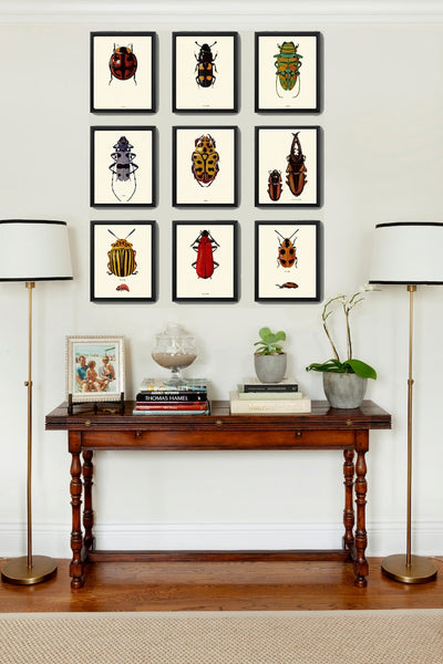 Beetle Prints Wall Art Set of 9 Beautiful Antique Vintage Ladybug Insect Bugs Red Yellow Purple Colorful Garden Home Decor to Frame BBB