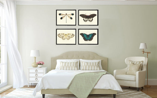 Butterfly Dragonfly Wall Art Set of 4 Prints Beautiful Antique Aqua White or Ivory Background Garden Home Decor Decoration to Frame BNOD