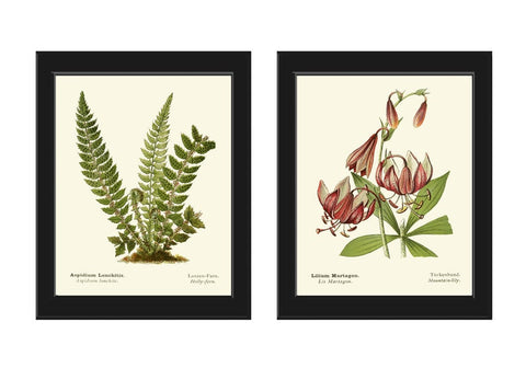 Green Fern Wild Lily Botanical Prints Wall Art Set of 2 Beautiful Antique Vintage Cottage Farmhouse Cabin Nature Home Decor to Frame AFS