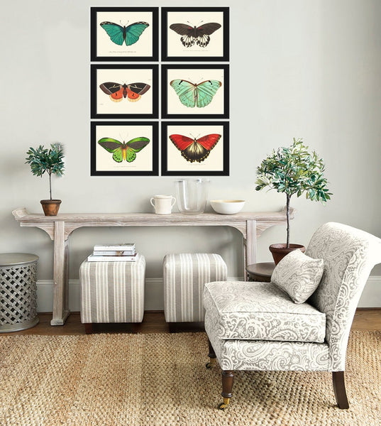 Vintage Butterfly Print Wall Art Set of 6 Beautiful Antique Vintage Colorful Red Aqua Green Butterflies Horizontal Orientation to Frame BNOD