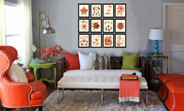 Coral Shells Shrimp Octopus Sea Star Prints Gallery Wall Art Set of 12 Beautiful Antique Vintage Beach Ocean Sea Home Room Decor to Frame SC