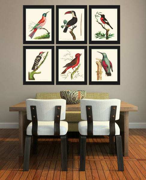 Birds Wall Art Print Set of 6 Prints Antique Vintage Red Aqua Black White Bedroom Dining Room Fireplace Office Home Decor to Frame BNOD