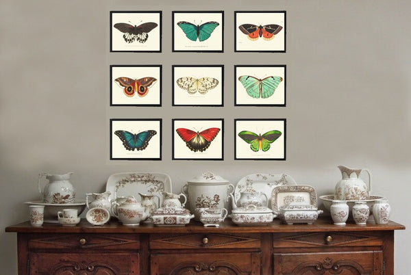 Vintage Butterfly Prints Wall Art Set of 9 Beautiful Antique Aqua Blue Red Orange Green Colorful Garden Nature Home Decor to Frame BNOD