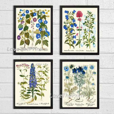Blue Wildflowers Botanical Wall Art Set of 4 Prints Beautiful Vintage Delphinium Morning Glory Cornflower Bachelor's Button to Frame BESL