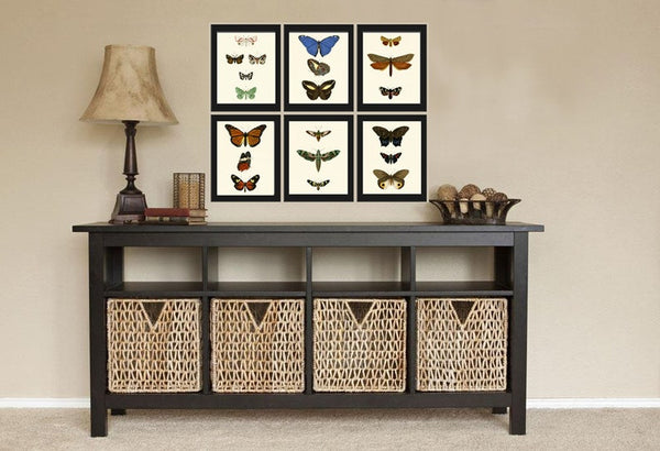 Vintage Butterflies Prints Wall Art Set of 6 Beautiful Antique Office Library Study Playroom Reading Dining Room Home Decor to Frame DORB