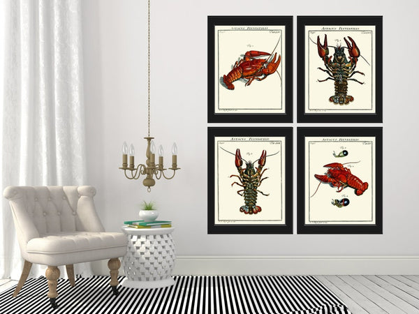 Lobster Wall Art Set of 4 Prints Beautiful Vintage Antique Blue Red Sea Ocean Nautical Marine Nature Science Beach House Home Decor LOBS
