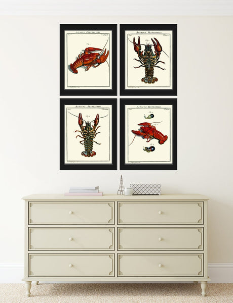 Lobster Wall Art Set of 4 Prints Beautiful Vintage Antique Blue Red Sea Ocean Nautical Marine Nature Science Beach House Home Decor LOBS