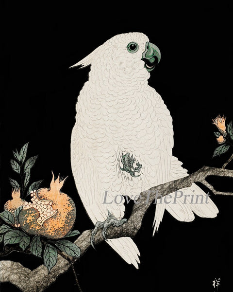Parrot Wall Art Prints Set of 3 Beautiful Vintage Antique White Large Cockatoo Tropical Interior Design Bird Home Room Decor to Frame OHK