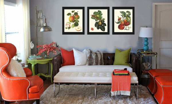 Fruit Botanical Wall Art Set 3 Prints Beautiful Vintage Antique Apple Fig Pear Dining Room Kitchen Farmhouse Garden Home Decor to Frame LF