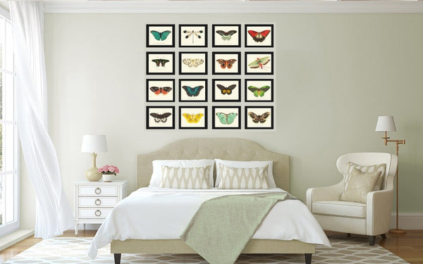 Butterfly Prints Full Wall Art Gallery Set of 16 Beautiful Antique Vintage Colorful Butterflies Interior Poster Home Decor to Frame BNOD