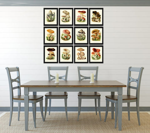 Vintage Mushroom Prints Wall Art Set of 12 Beautiful Antique Forest Nature Cabin Farmhouse Kitchen Dining Room Home Decor to Frame PDH