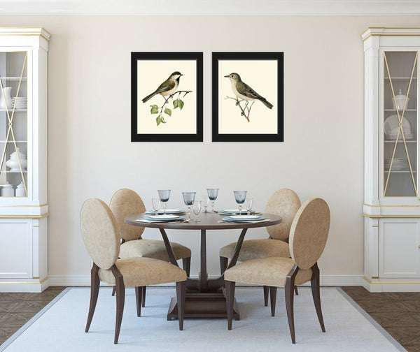 Vintage Bird Wall Art Decor Prints Set of 2 Beautiful Antique Forest Nature Pretty Birds Farmhouse Interior Home Room Decoration to Frame VW