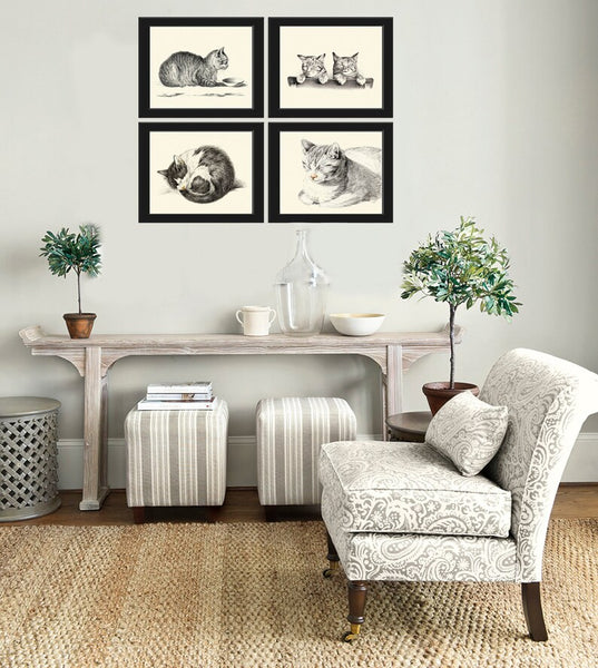 Cat Illustration Drawing Wall Art Print Set of 4 Beautiful Antique Vintage Kitty Kitten Cute Pet Animal Picture Home Room Decor to Frame JB