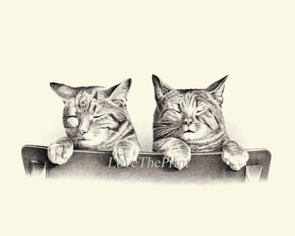 Cat Illustration Drawing Wall Art Print Set of 4 Beautiful Antique Vintage Kitty Kitten Cute Pet Animal Picture Home Room Decor to Frame JB