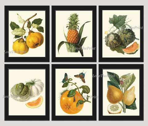 Fruit Wall Decor Prints Art Set 6 Beautiful Botanical Colorful Tropical Kitchen Dining Room Pear Pineapple Melon Orange Lemon to Frame LF