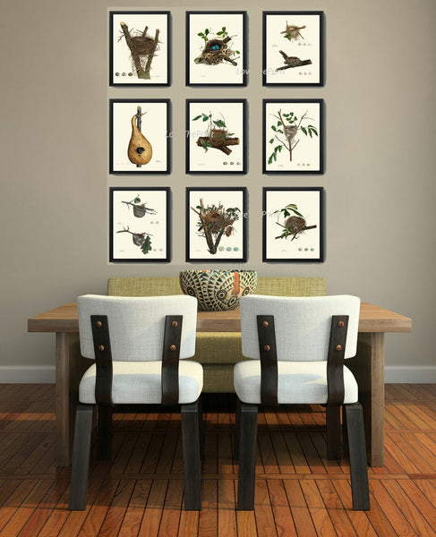 Vintage Bird Nest Eggs Prints Wall Art Set of 9 Beautiful Antique Cottage Farmhouse Birds Horizontal Orientation Home Decor to Frame NEST
